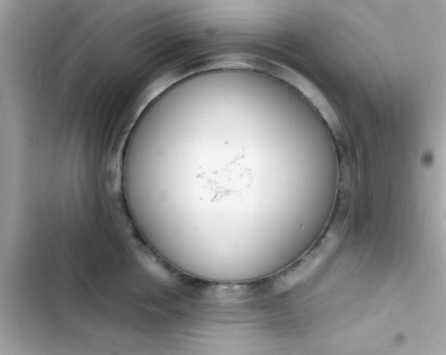 X0000103330858200809192203