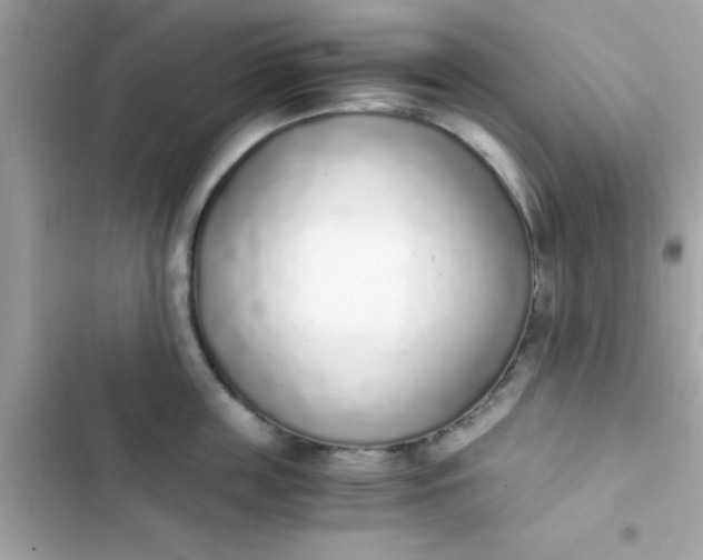 X0000103330859200809192203