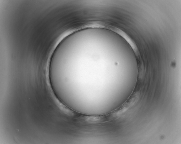 X0000103330861200809192203