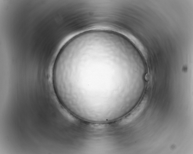 X0000103330862200809192203