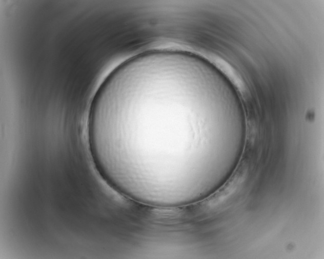 X0000103330863200809192203