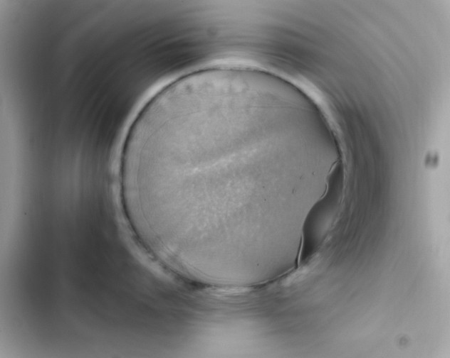 X0000103330864200809192203