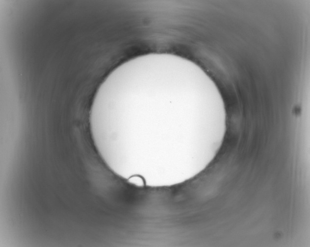 X0000103330865200809192202