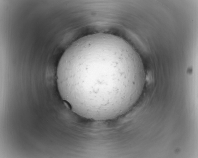 X0000103330867200809192202