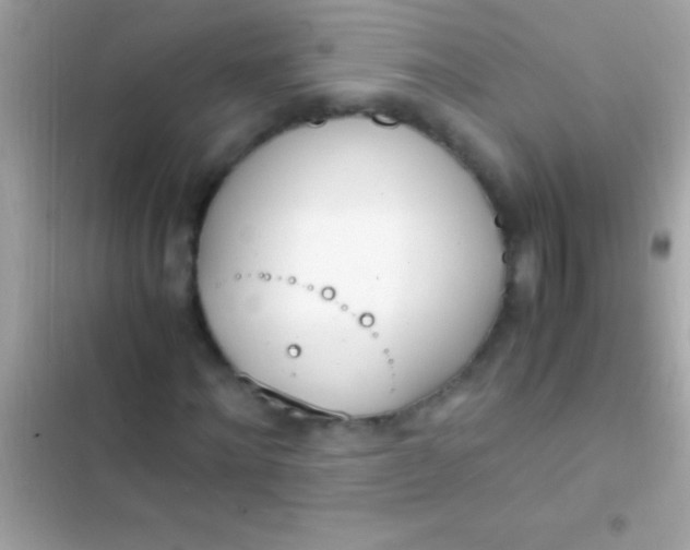 X0000103330868200809192202