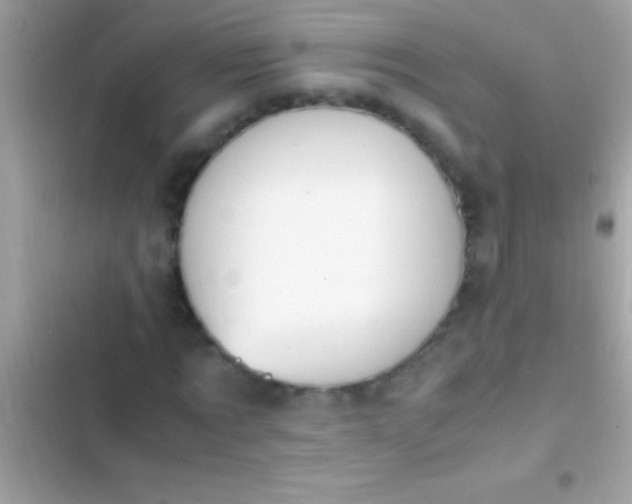 X0000103330869200809192202