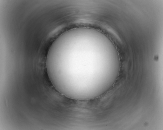 X0000103330870200809192202