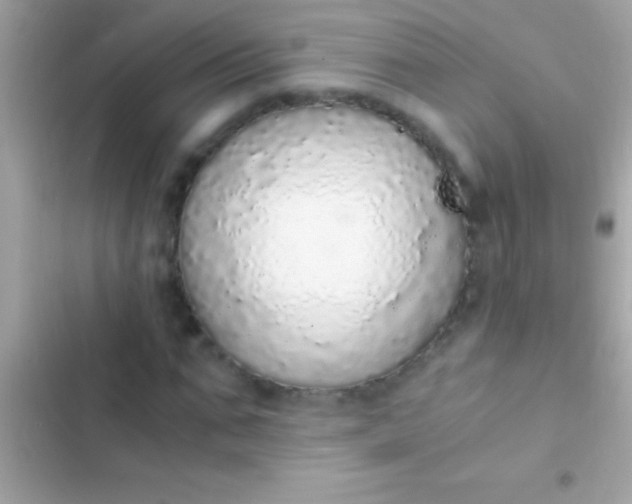 X0000103330871200809192202