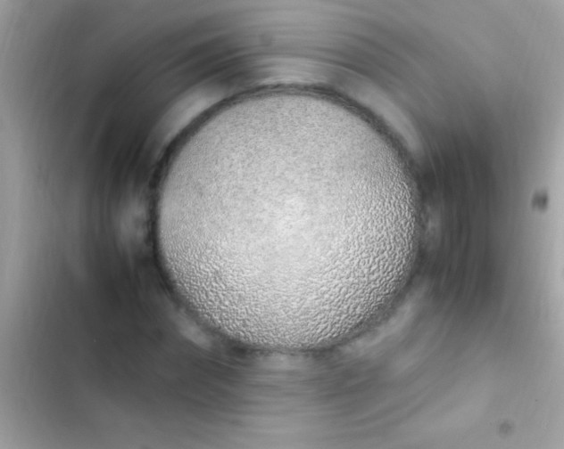 X0000103330874200809192202