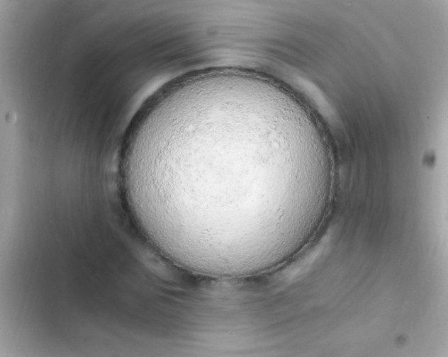 X0000103330875200809192202