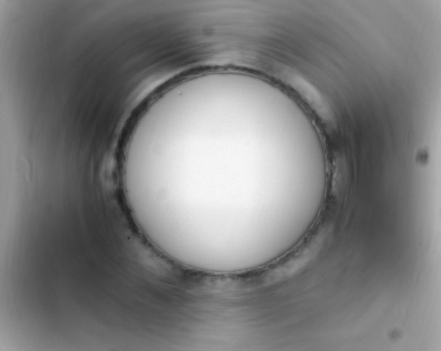 X0000103330876200809192202