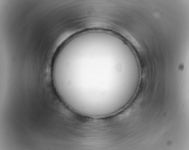 X0000103330877200809192202