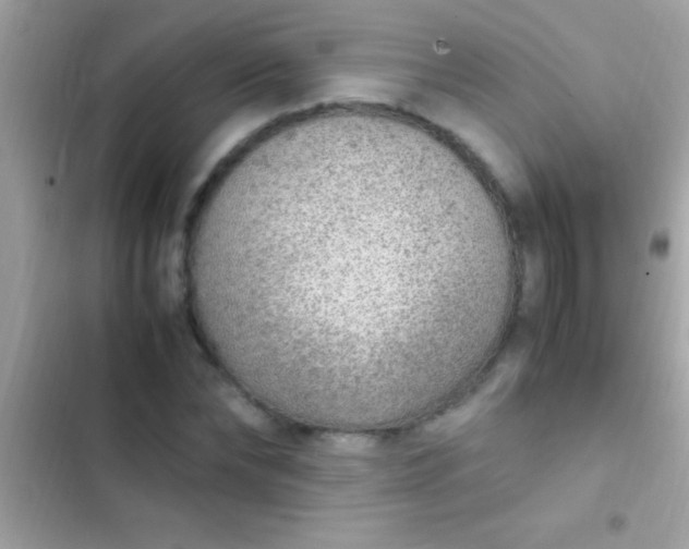 X0000103330878200809192202