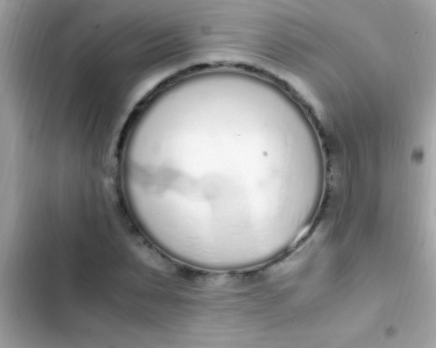 X0000103330879200809192202