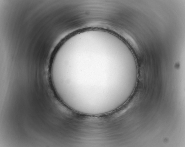 X0000103330880200809192202