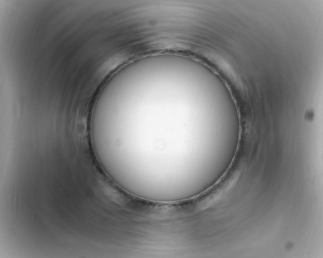 X0000103330881200809192202