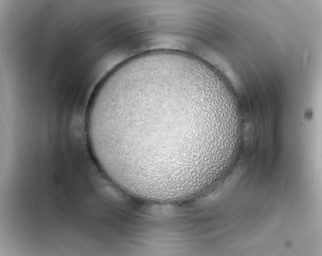 X0000103330882200809192202