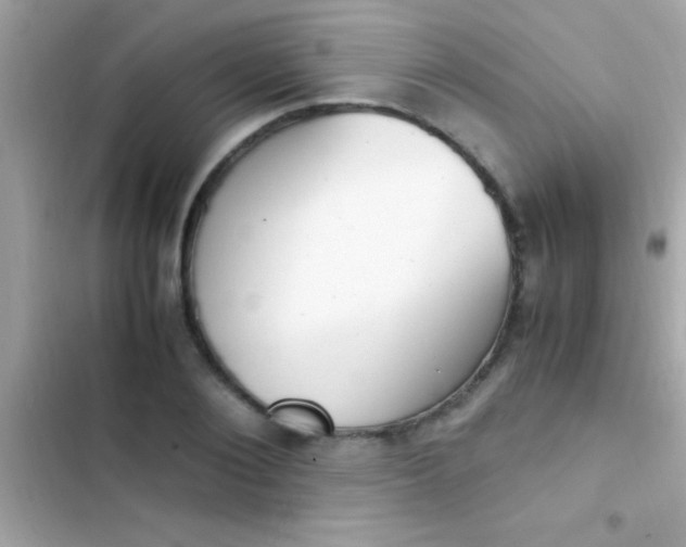 X0000103330884200809192202