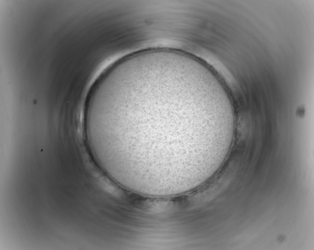 X0000103330886200809192202