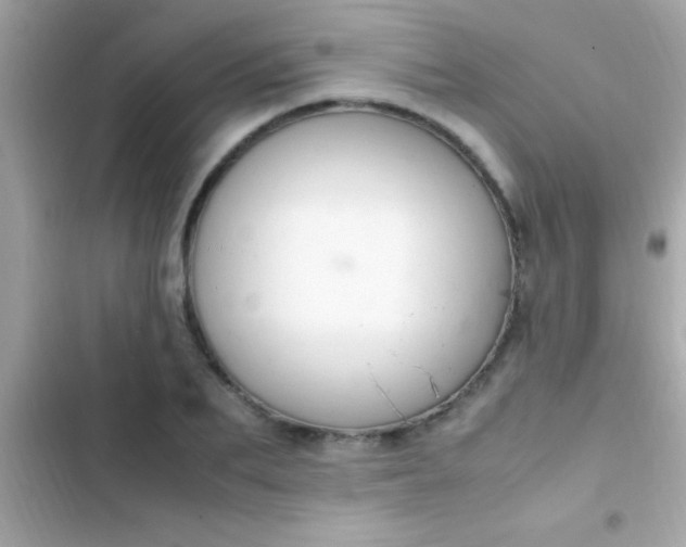 X0000103330887200809192202