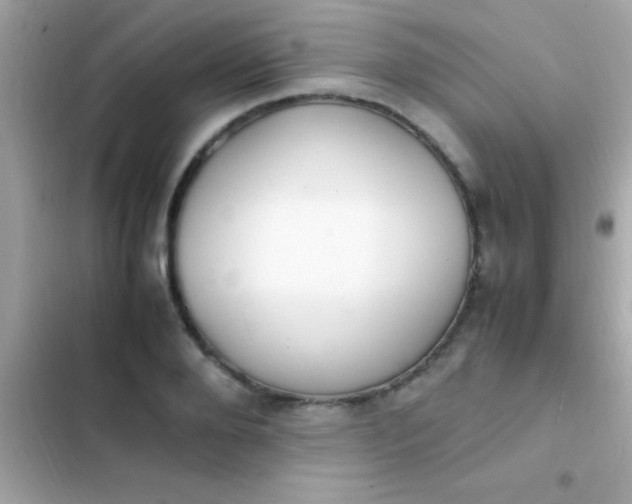 X0000103330888200809192202