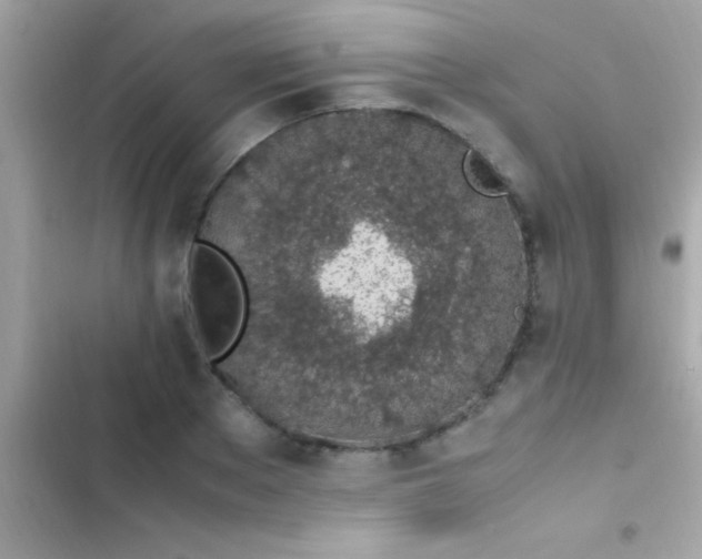 X0000103330889200809192202