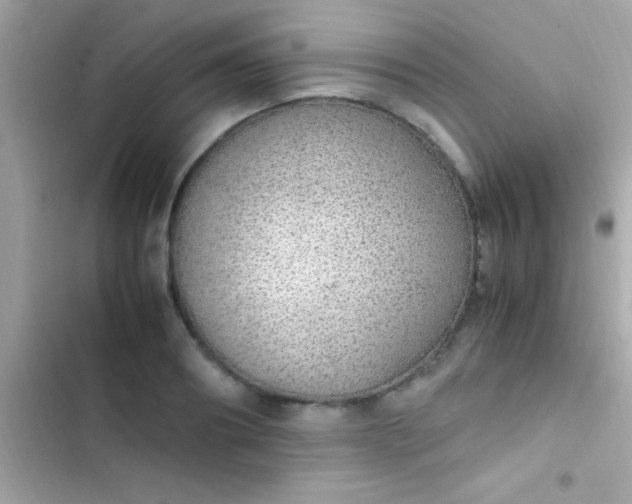 X0000103330890200809192202