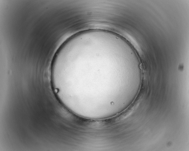 X0000103330891200809192202