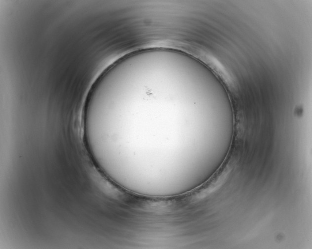 X0000103330892200809192202