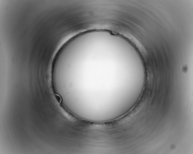 X0000103330894200809192202