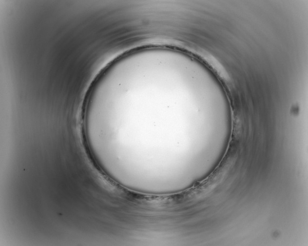 X0000103330895200809192202