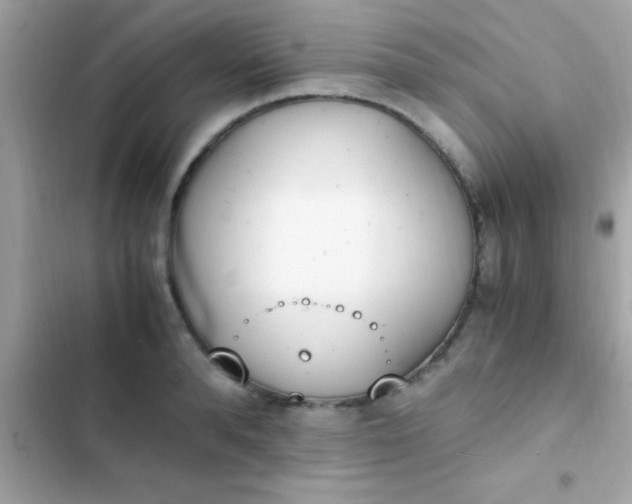 X0000103330896200809192201