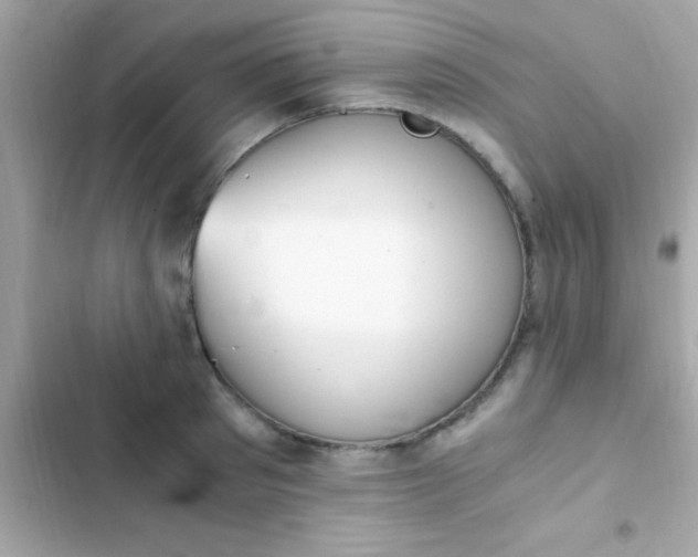 X0000103330897200809192201