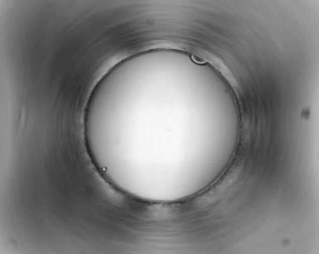 X0000103330898200809192201