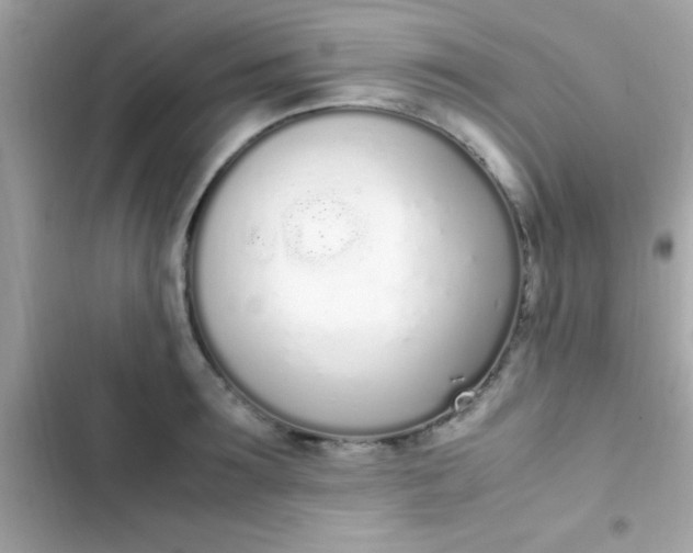 X0000103330899200809192201