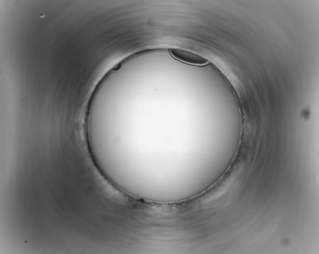 X0000103330901200809192201