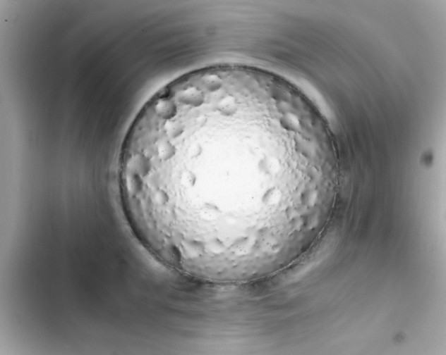 X0000103330903200809192201