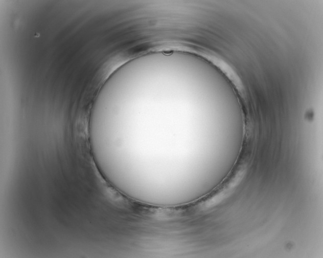 X0000103330905200809192201