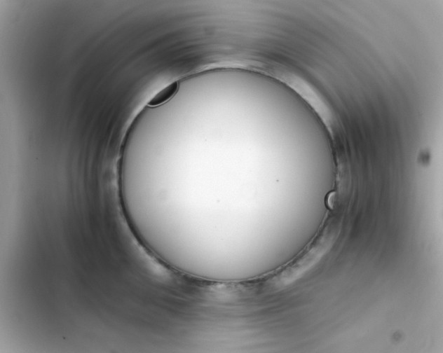 X0000103330906200809192201