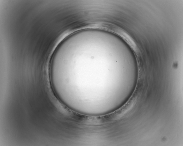 X0000103330907200809192201