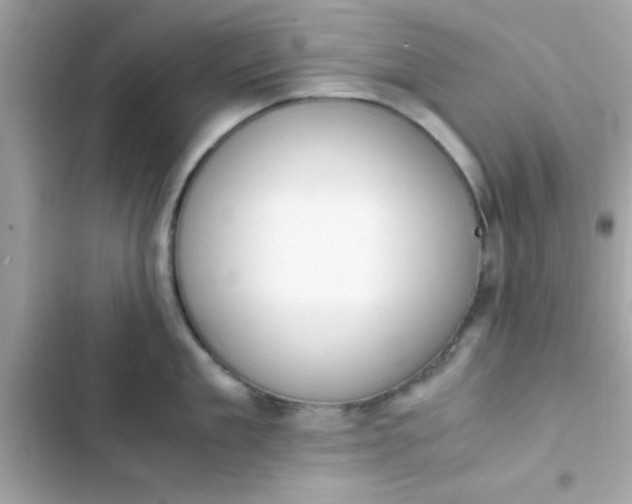 X0000103330909200809192201