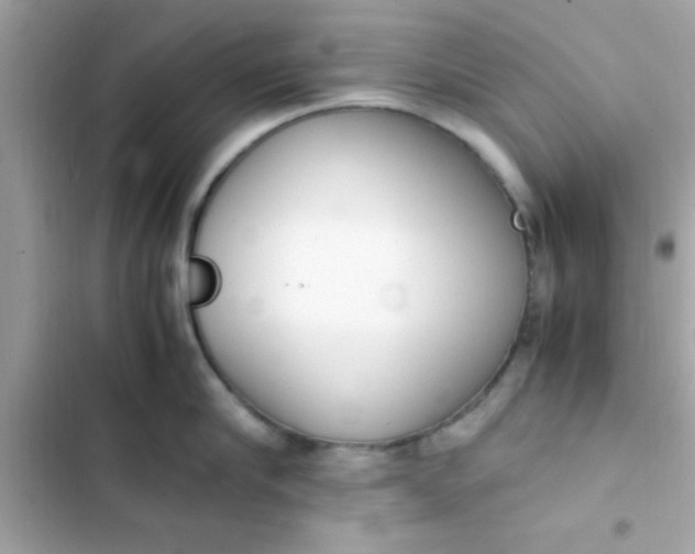 X0000103330910200809192201