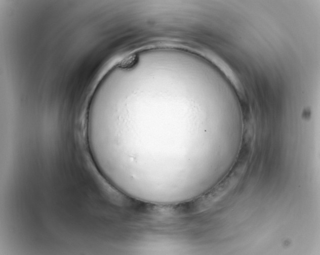 X0000103330911200809192201