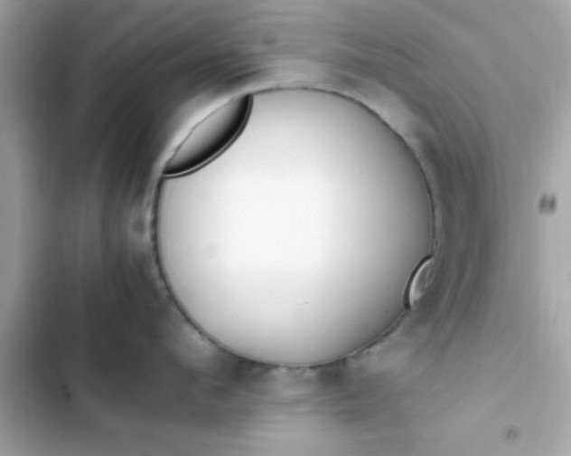 X0000103330912200809192201