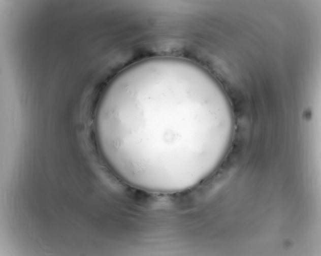 X0000103330913200809192201