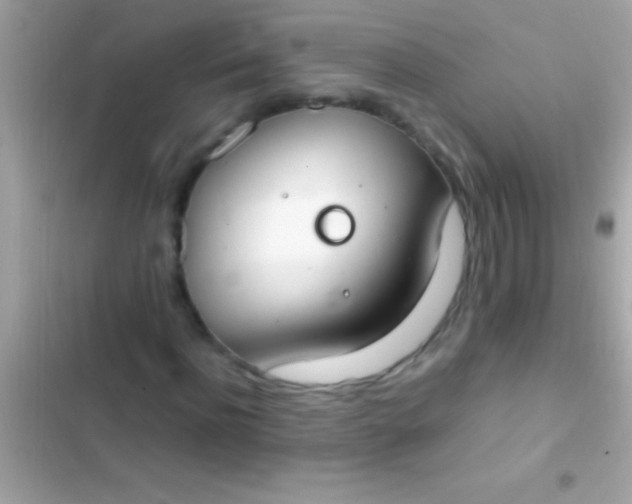 X0000103330916200809192201