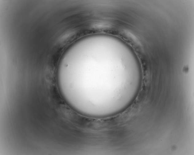 X0000103330917200809192201