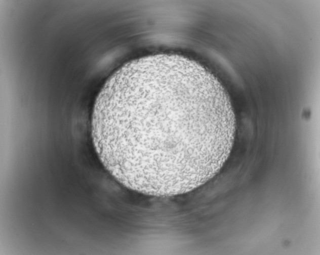 X0000103330918200809192201