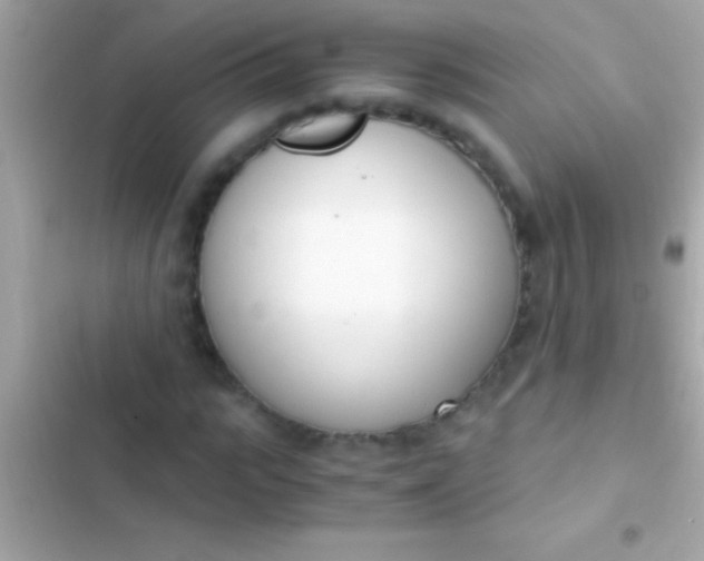 X0000103330919200809192201