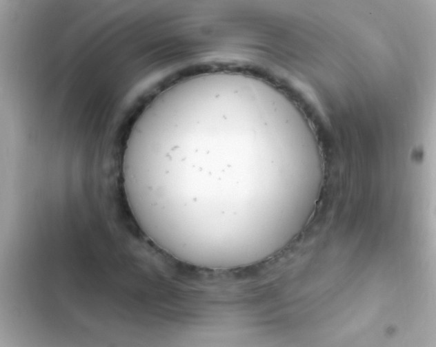 X0000103330920200809192201